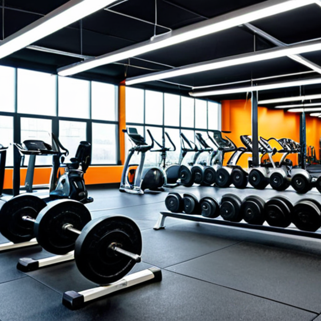 **

"A modern fitness studio featuring various types of weight plates (iron, rubber-coated, Olympic), neatly organized on racks.  Several people are shown exercising in the background, all fully clothed in athletic wear. Focus on the equipment and clean, organized environment.  Professional gym setting, well-lit, appropriate attire, safe for work, perfect anatomy (in background figures), natural proportions, professional photography, high quality."

**
