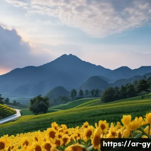 운동기구 보관 팁과 공간 활용법 관련 이미지 1